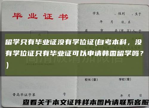 留学只有毕业证没有学位证(自考本科，没有学位证只有毕业证可以申请韩国留学吗？）缩略图