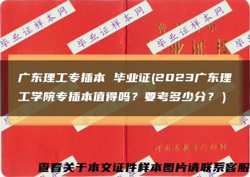 广东理工专插本 毕业证(2023广东理工学院专插本值得吗？要考多少分？）缩略图