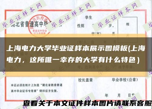 上海电力大学毕业证样本展示图模板(上海电力，这所唯一幸存的大学有什么特色）缩略图