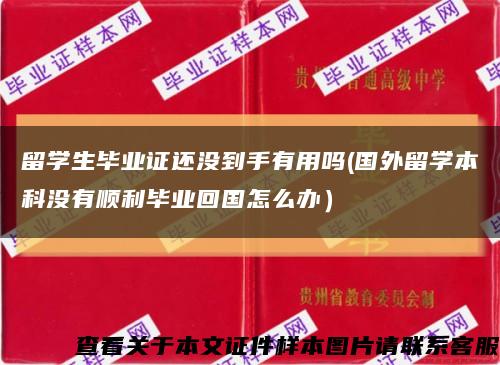 留学生毕业证还没到手有用吗(国外留学本科没有顺利毕业回国怎么办）缩略图