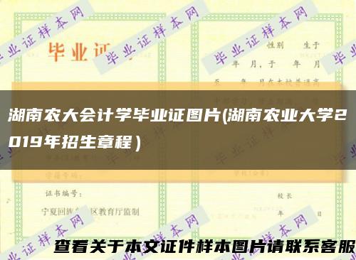 湖南农大会计学毕业证图片(湖南农业大学2019年招生章程）缩略图