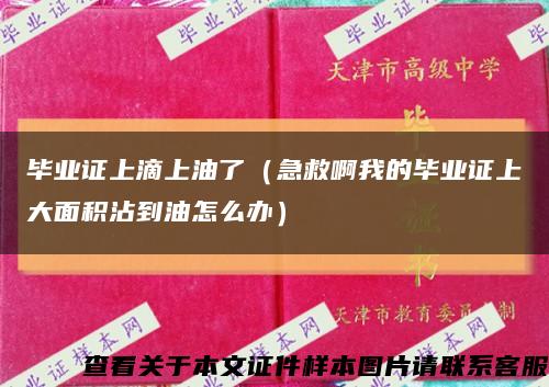 毕业证上滴上油了（急救啊我的毕业证上大面积沾到油怎么办）缩略图