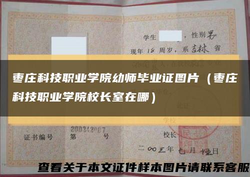 枣庄科技职业学院幼师毕业证图片（枣庄科技职业学院校长室在哪）缩略图