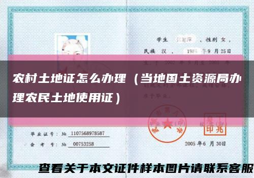 农村土地证怎么办理（当地国土资源局办理农民土地使用证）缩略图