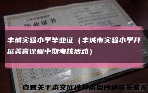 丰城实验小学毕业证（丰城市实验小学开展美育课程中期考核活动）缩略图