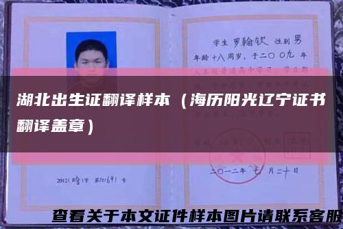 湖北出生证翻译样本（海历阳光辽宁证书翻译盖章）缩略图