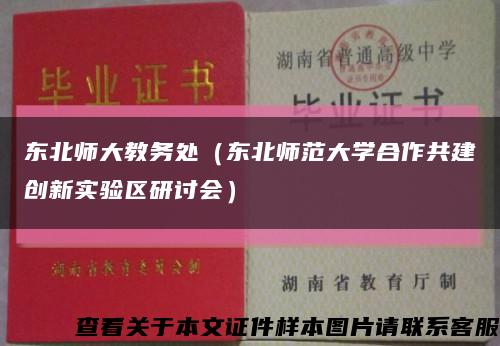 东北师大教务处（东北师范大学合作共建创新实验区研讨会）缩略图