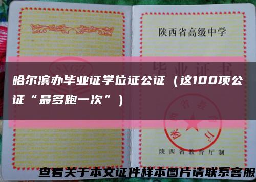 哈尔滨办毕业证学位证公证（这100项公证“最多跑一次”）缩略图