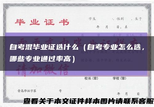 自考混毕业证选什么（自考专业怎么选，哪些专业通过率高）缩略图