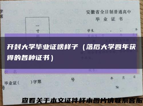 开封大学毕业证啥样子（落后大学四年获得的各种证书）缩略图