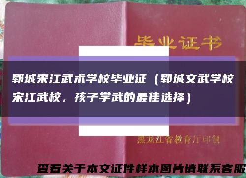 郓城宋江武术学校毕业证（郓城文武学校宋江武校，孩子学武的最佳选择）缩略图