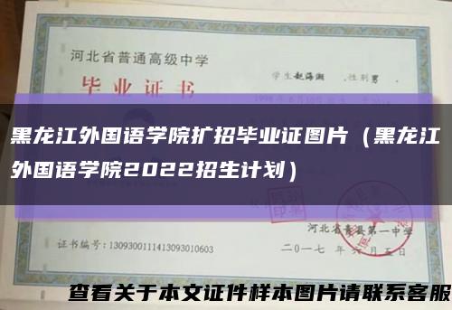 黑龙江外国语学院扩招毕业证图片（黑龙江外国语学院2022招生计划）缩略图