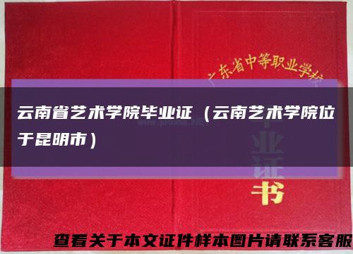 云南省艺术学院毕业证（云南艺术学院位于昆明市）缩略图
