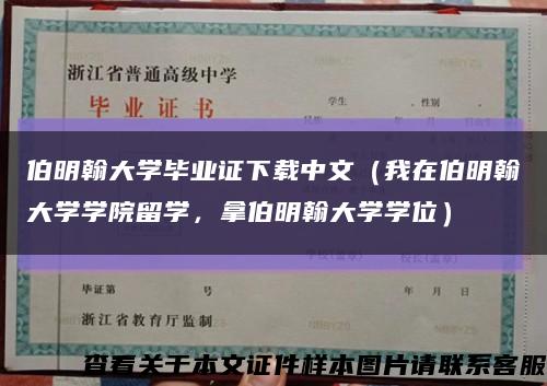 伯明翰大学毕业证下载中文（我在伯明翰大学学院留学，拿伯明翰大学学位）缩略图