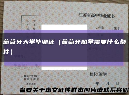 葡萄牙大学毕业证（葡萄牙留学需要什么条件）缩略图