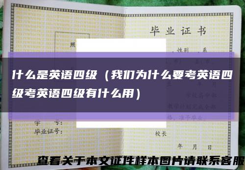 什么是英语四级（我们为什么要考英语四级考英语四级有什么用）缩略图