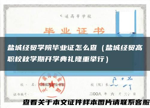 盐城经贸学院毕业证怎么查（盐城经贸高职校秋学期开学典礼隆重举行）缩略图