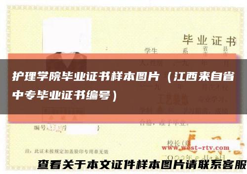 护理学院毕业证书样本图片（江西来自省中专毕业证书编号）缩略图