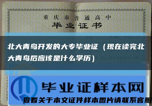 北大青鸟开发的大专毕业证（现在读完北大青鸟后应该是什么学历）缩略图