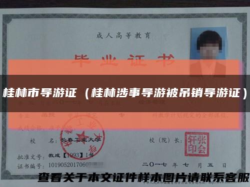桂林市导游证（桂林涉事导游被吊销导游证）缩略图