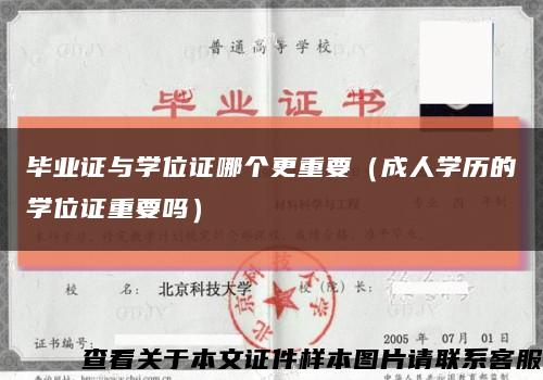 毕业证与学位证哪个更重要（成人学历的学位证重要吗）缩略图