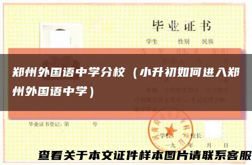 郑州外国语中学分校（小升初如何进入郑州外国语中学）缩略图