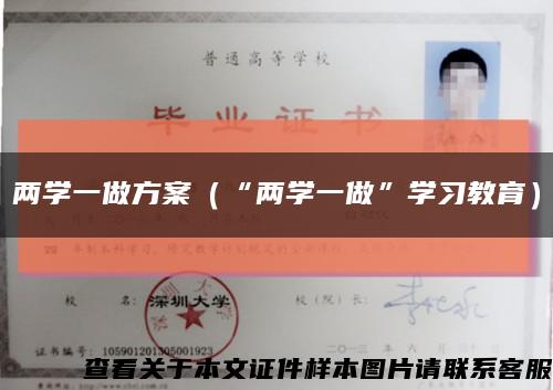 两学一做方案（“两学一做”学习教育）缩略图