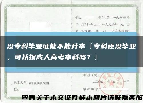 没专科毕业证能不能升本『专科还没毕业，可以报成人高考本科吗？』缩略图