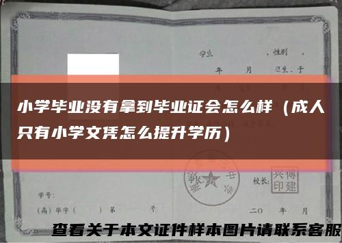 小学毕业没有拿到毕业证会怎么样（成人只有小学文凭怎么提升学历）缩略图
