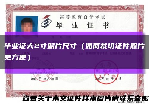 毕业证大2寸照片尺寸（如何裁切证件照片更方便）缩略图