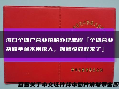 海口个体户营业执照办理流程『个体营业执照年检不用求人，保姆级教程来了』缩略图