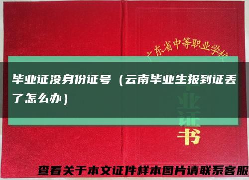 毕业证没身份证号（云南毕业生报到证丢了怎么办）缩略图