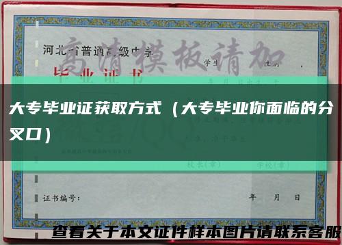 大专毕业证获取方式（大专毕业你面临的分叉口）缩略图