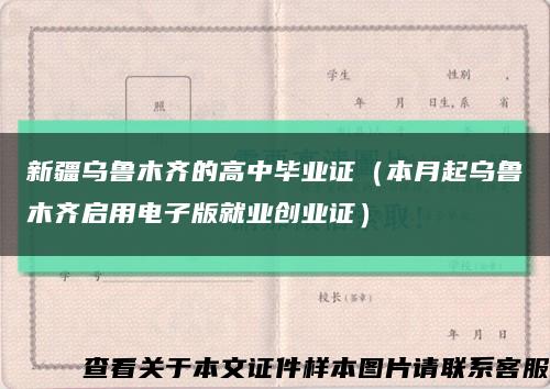 新疆乌鲁木齐的高中毕业证（本月起乌鲁木齐启用电子版就业创业证）缩略图