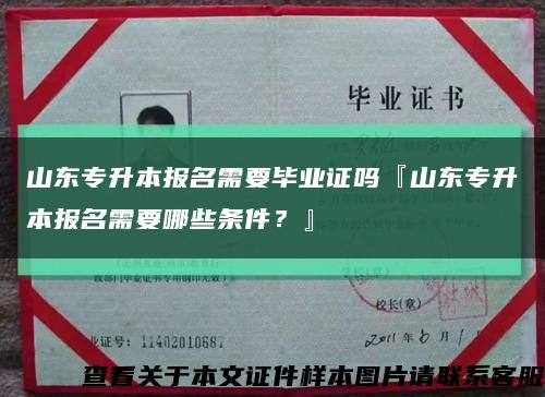 山东专升本报名需要毕业证吗『山东专升本报名需要哪些条件？』缩略图