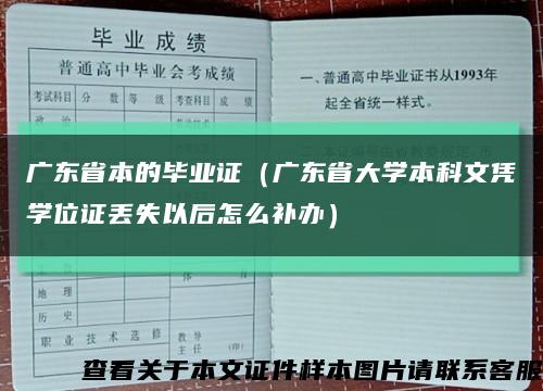广东省本的毕业证（广东省大学本科文凭学位证丢失以后怎么补办）缩略图