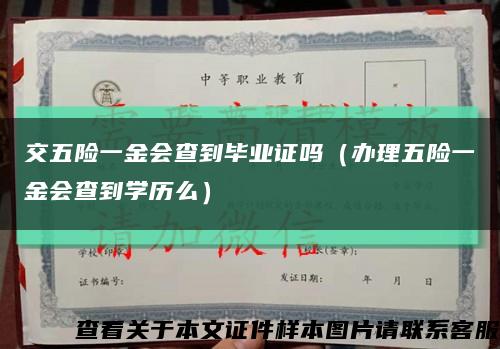 交五险一金会查到毕业证吗（办理五险一金会查到学历么）缩略图