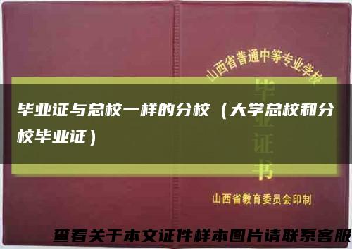 毕业证与总校一样的分校（大学总校和分校毕业证）缩略图