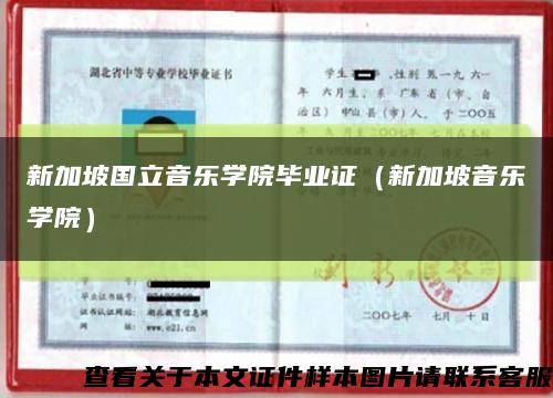新加坡国立音乐学院毕业证（新加坡音乐学院）缩略图