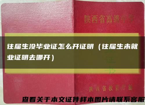 往届生没毕业证怎么开证明（往届生未就业证明去哪开）缩略图