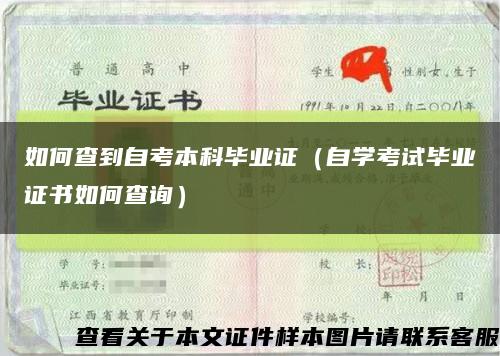 如何查到自考本科毕业证（自学考试毕业证书如何查询）缩略图