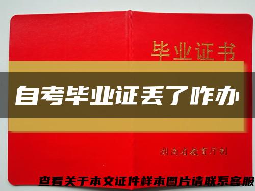 自考毕业证丢了咋办缩略图