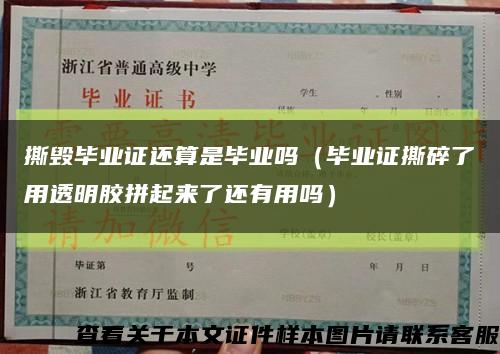 撕毁毕业证还算是毕业吗（毕业证撕碎了用透明胶拼起来了还有用吗）缩略图