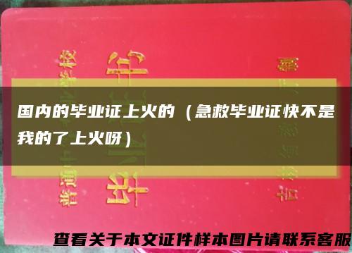 国内的毕业证上火的（急救毕业证快不是我的了上火呀）缩略图