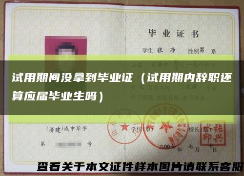 试用期间没拿到毕业证（试用期内辞职还算应届毕业生吗）缩略图