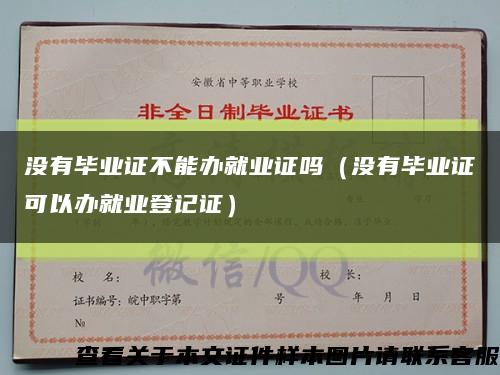 没有毕业证不能办就业证吗（没有毕业证可以办就业登记证）缩略图