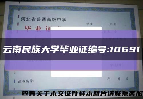 云南民族大学毕业证编号:10691缩略图