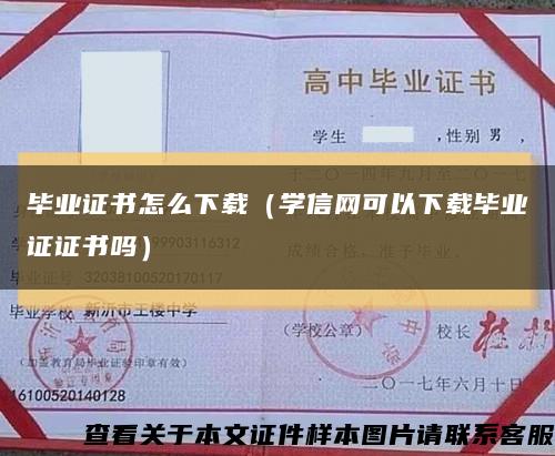 毕业证书怎么下载（学信网可以下载毕业证证书吗）缩略图