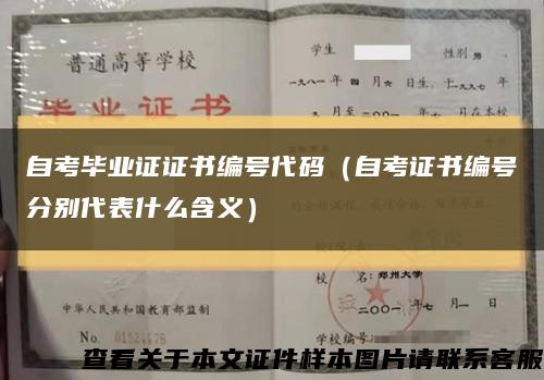 自考毕业证证书编号代码（自考证书编号分别代表什么含义）缩略图