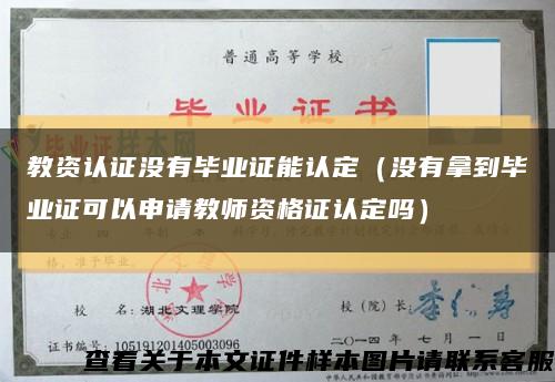 教资认证没有毕业证能认定（没有拿到毕业证可以申请教师资格证认定吗）缩略图